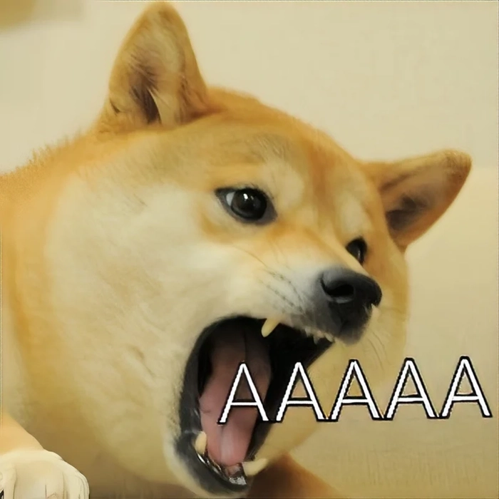 Ảnh chó vàng meme cực chất