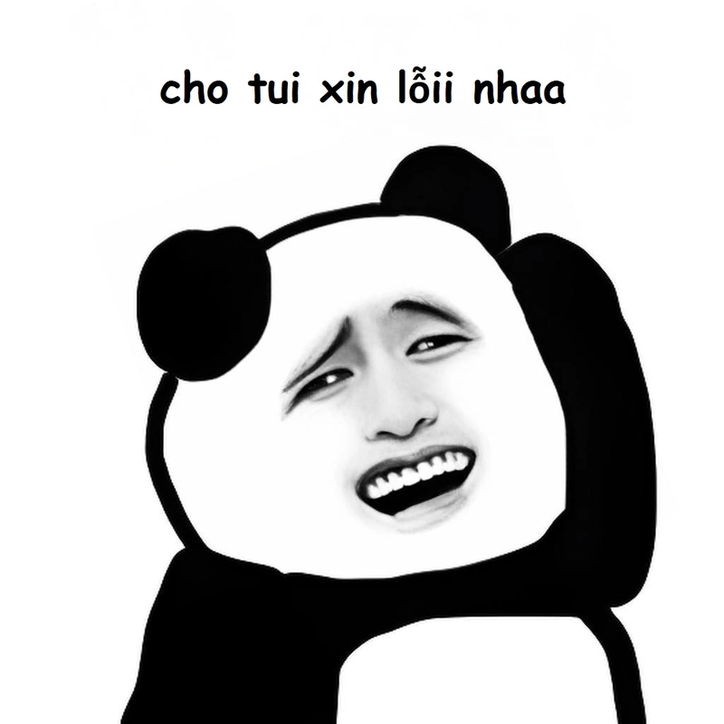 Ảnh gấu trúc meme xin lỗi hài hước