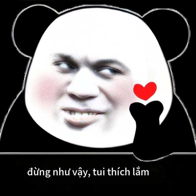Ảnh hài hước meme gấu trúc vui nhộn