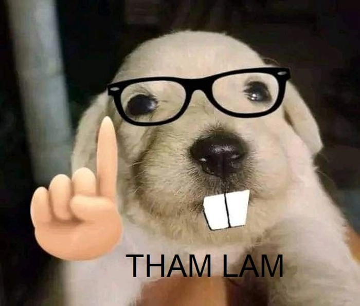 Ảnh hài hước meme tham lam bá đạo