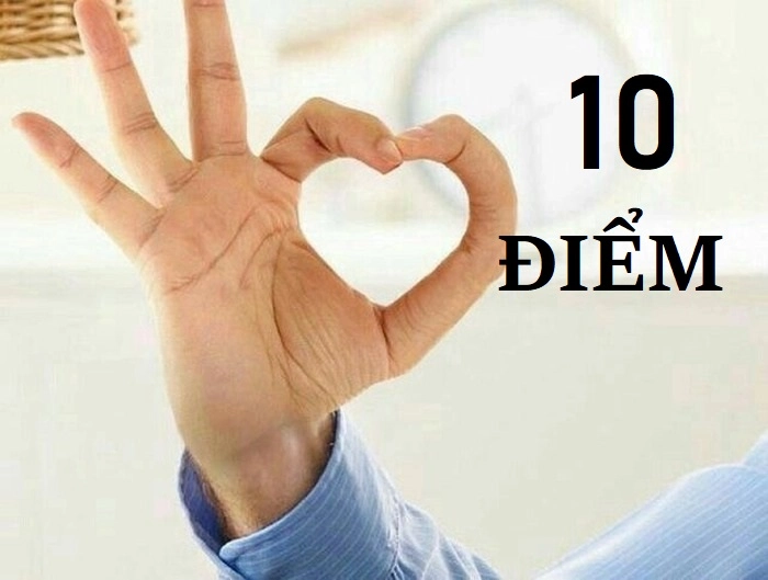 Ảnh meme 10 điểm mèo hài đáng yêu