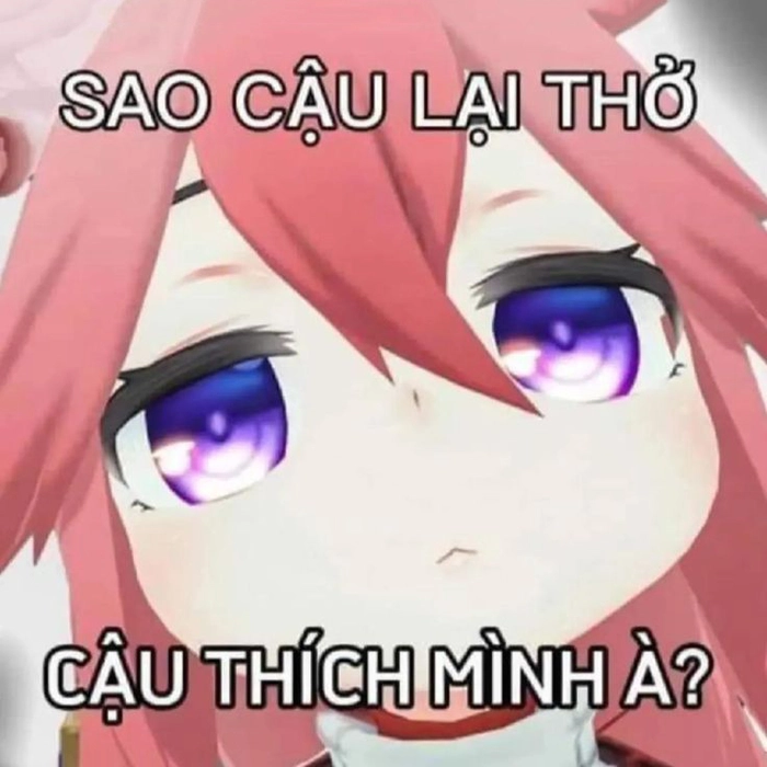 Ảnh meme Genshin Impact độc đáo bá đạo