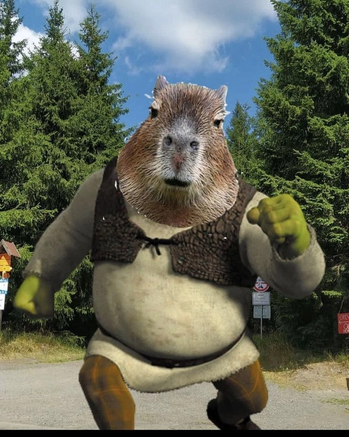 Ảnh meme capybara troll hài hước