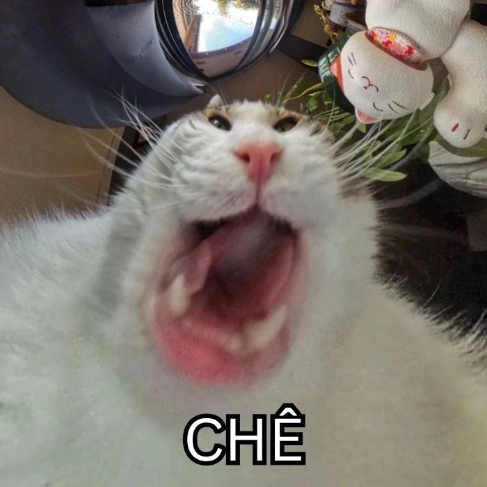 Ảnh meme chê cực chất troll bạn bè