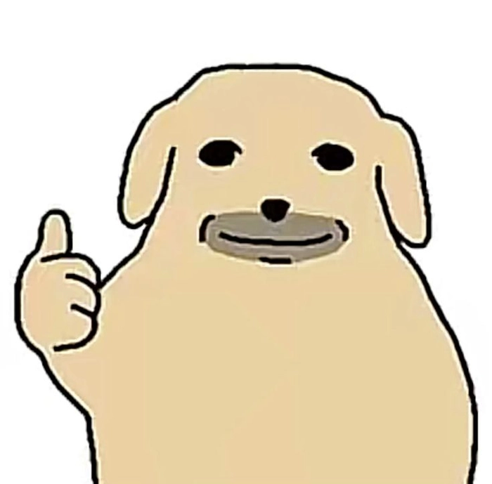 Ảnh meme con chó áo rách bá đạo