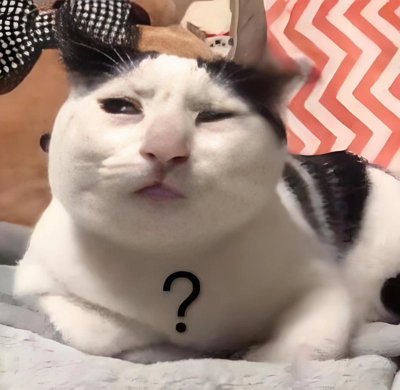 Ảnh meme đáng yêu đáng cưng ngộ nghĩnh