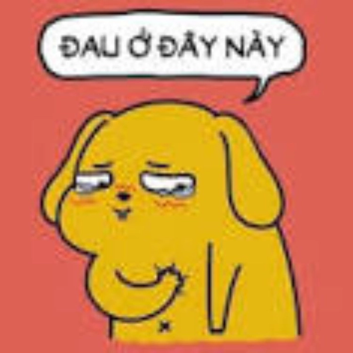 Ảnh meme đau ở đây này siêu hài