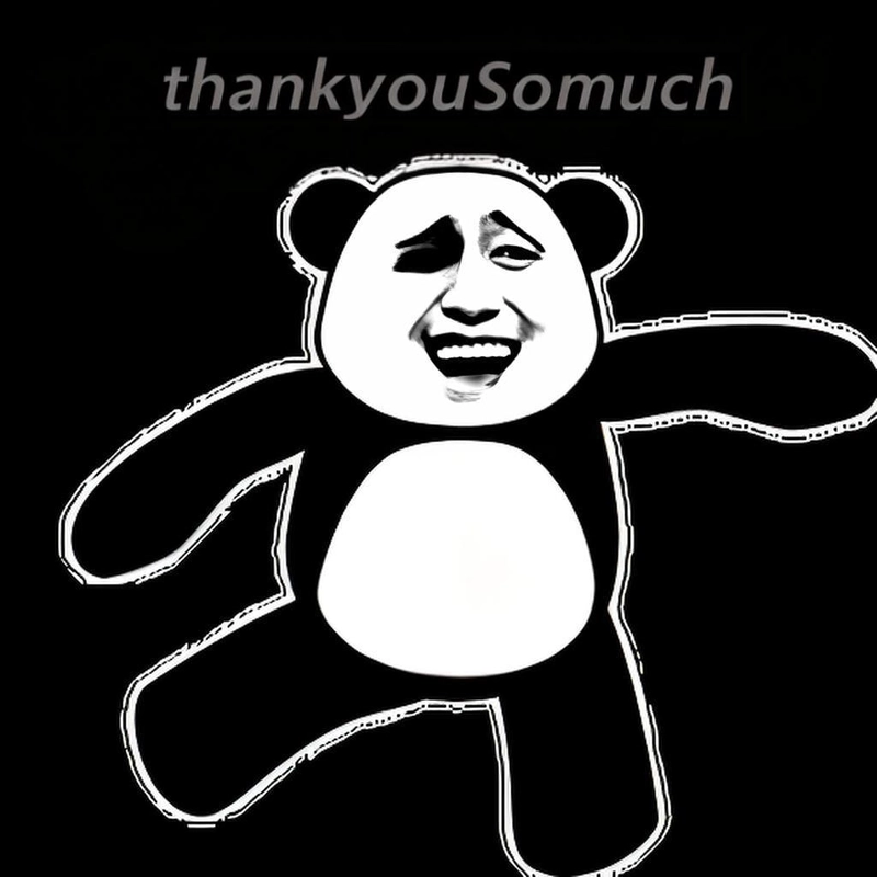 Ảnh meme gấu trúc đa tạ ngộ nghĩnh