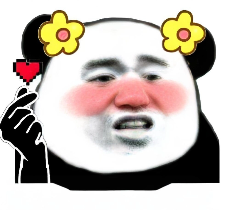 Ảnh meme gấu trúc slay chế hài