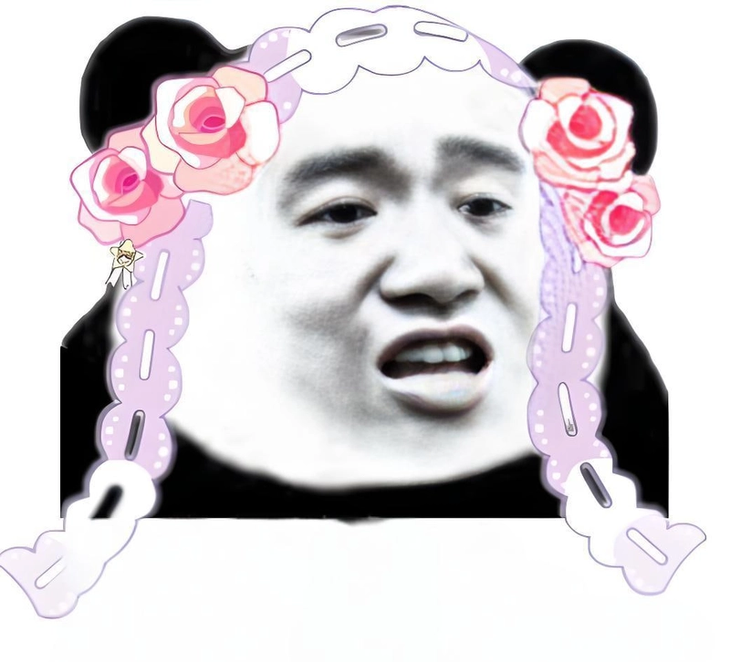 Ảnh meme gấu trúc slay đáng yêu