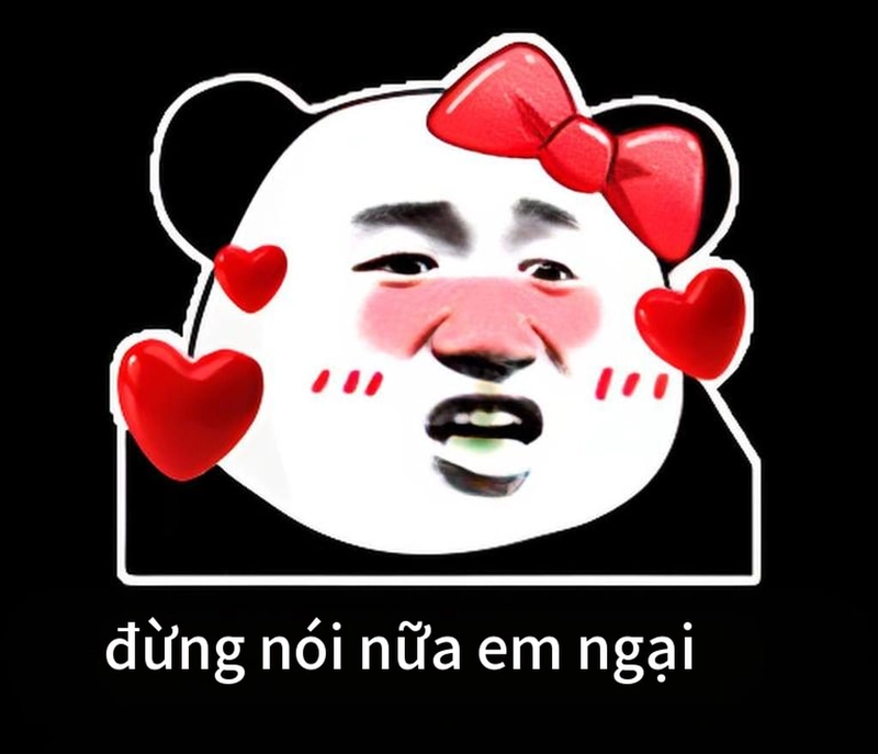 Ảnh meme gấu trúc yêu cực đáng yêu