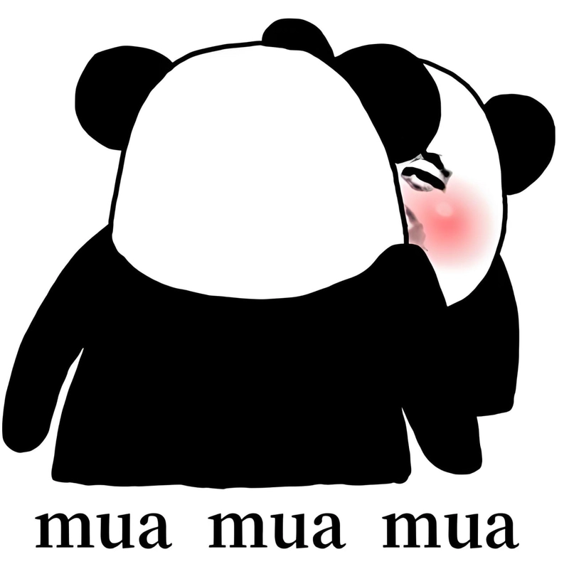 Ảnh meme hài hước gấu trúc ngộ nghĩnh