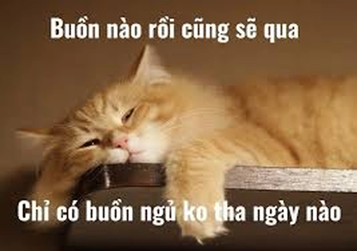 Ảnh meme ngủ ngon đáng yêu