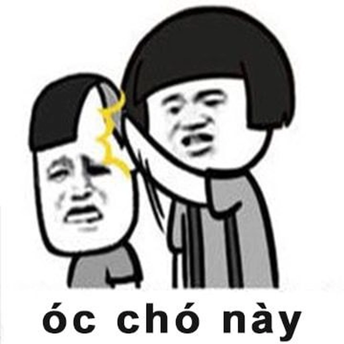 Ảnh meme óc chó chế hài hước