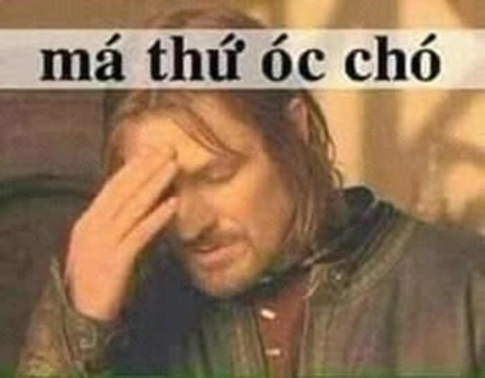 Ảnh meme óc chó chế hài troll