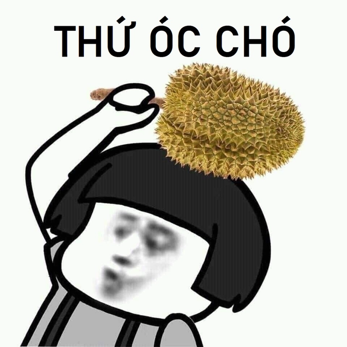Ảnh meme óc chó chế vui nhộn