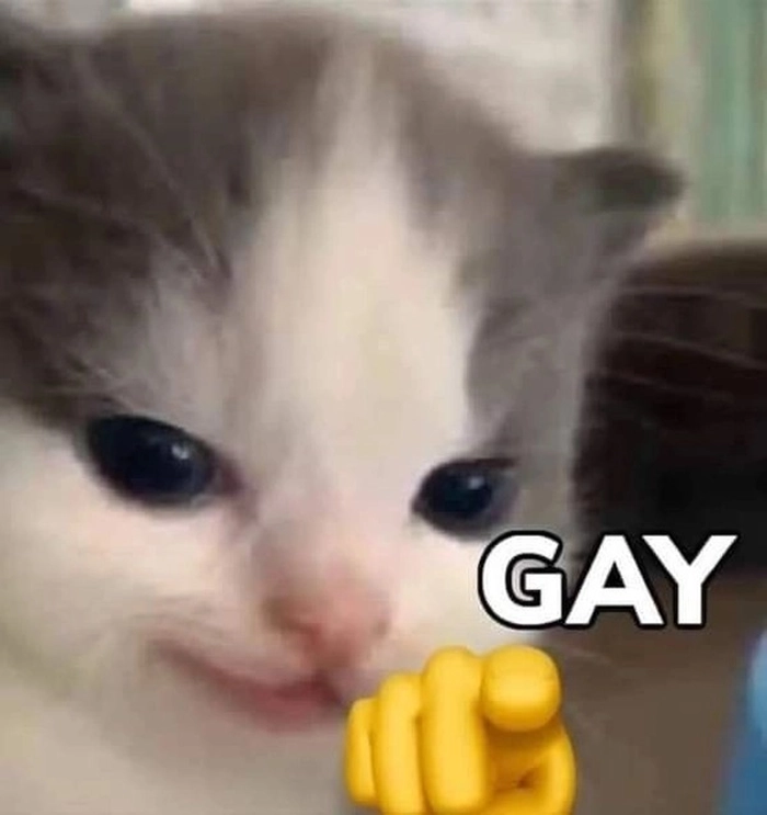 Ảnh meme sẽ gầy bá đạo vui nhộn