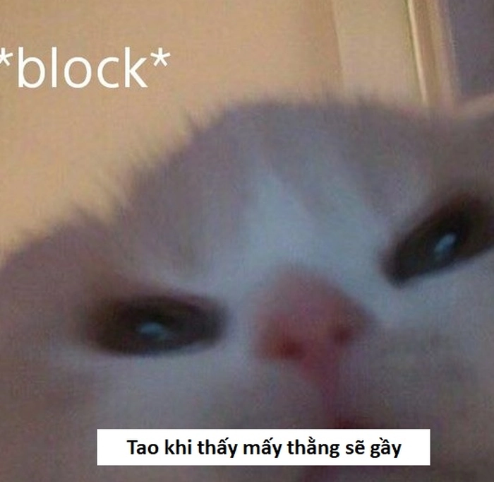 Ảnh meme sẽ gầy chế bá đạo