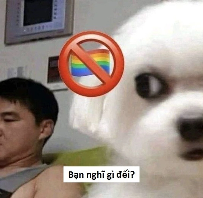 Ảnh meme sẽ gầy chế khiến cười nghiêng ngả