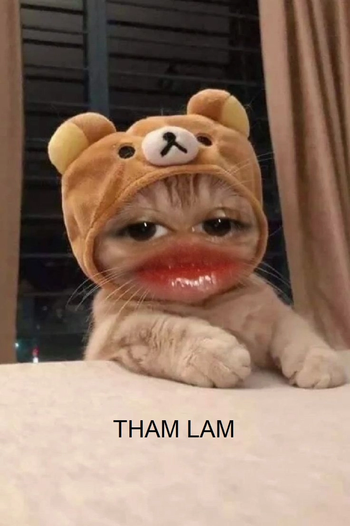 Ảnh meme tham lam chế lầy lội