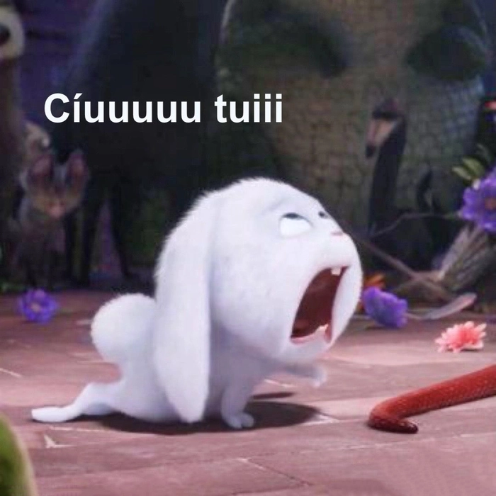 Ảnh meme thỏ Snowball vui nhộn