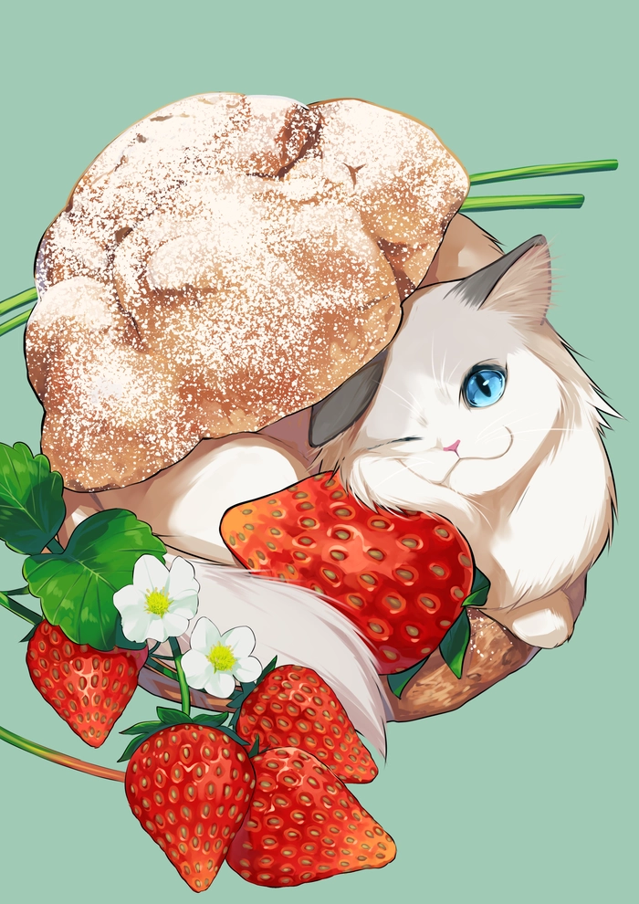 Ảnh mèo anime cute chibi đáng yêu