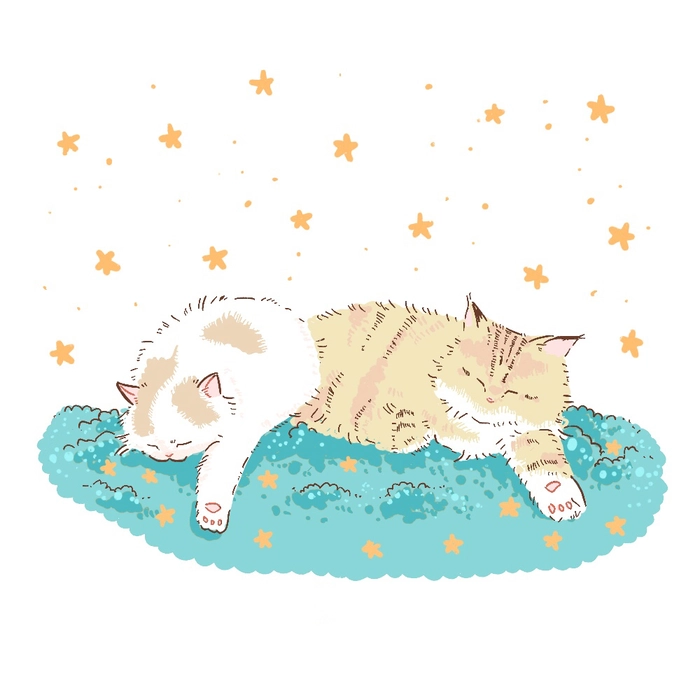 Ảnh mèo anime cute đẹp đáng yêu