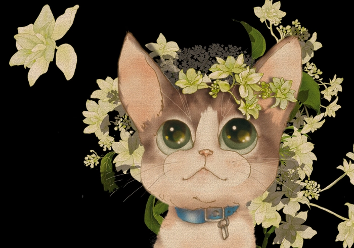 Ảnh mèo anime đẹp cuốn hút