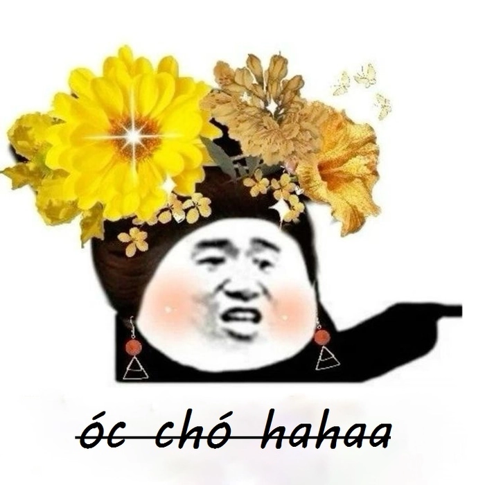Ảnh óc chó meme chế bá đạo hài hước