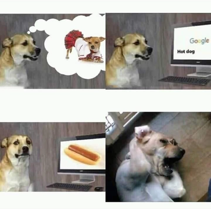 Ảnh óc chó meme chế cực bựa