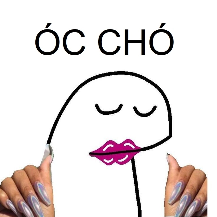 Ảnh óc chó meme hài bựa độc đáo
