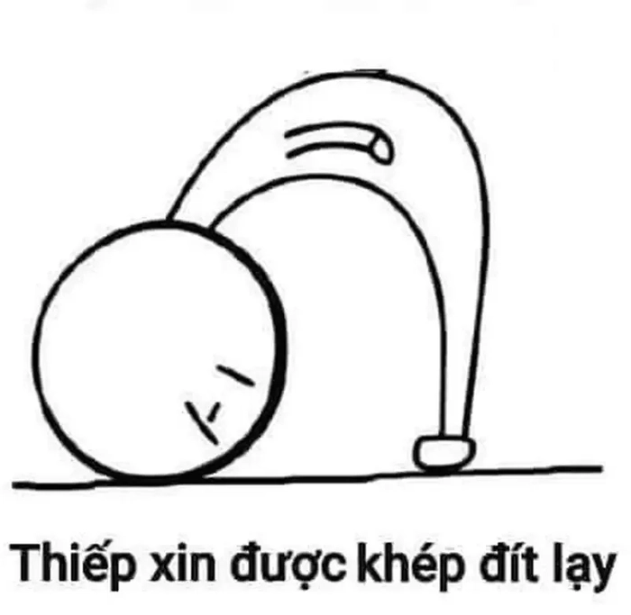 Ảnh quỳ lạy meme độc đáo
