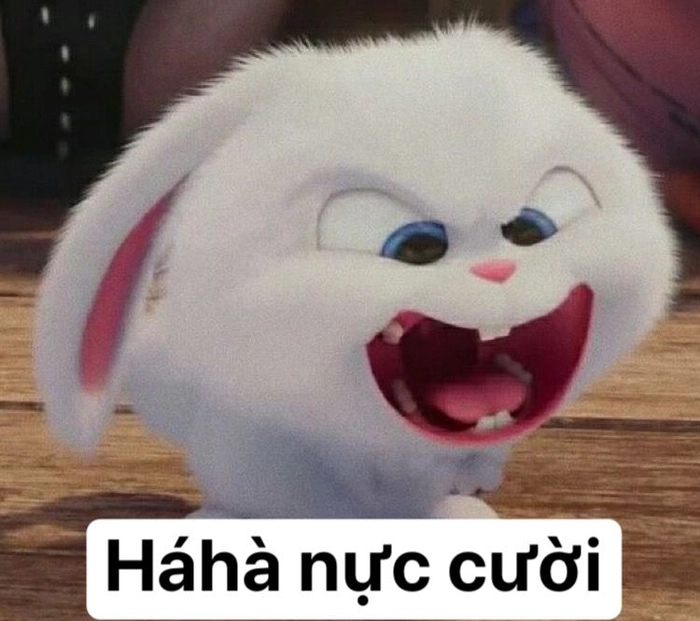 Ảnh thỏ Snowball dễ thương
