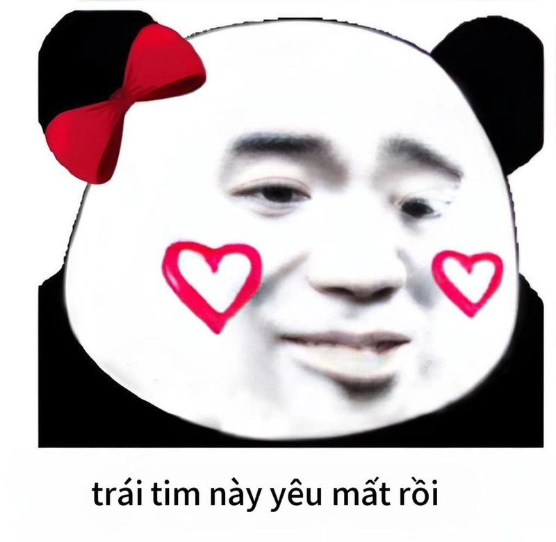 Ảnh vui meme gấu trúc thả tim