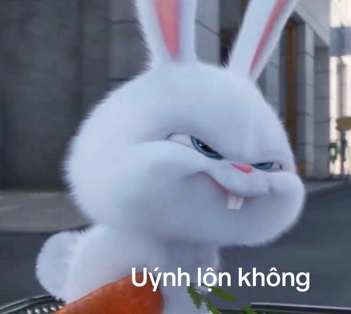 Avatar thỏ Snowball meme cute