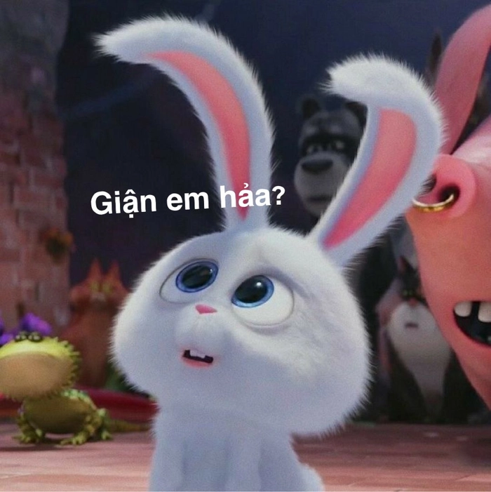 Avatar thỏ Snowball meme dễ thương