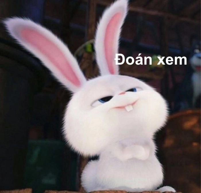 Avatar thỏ Snowball meme độc lạ
