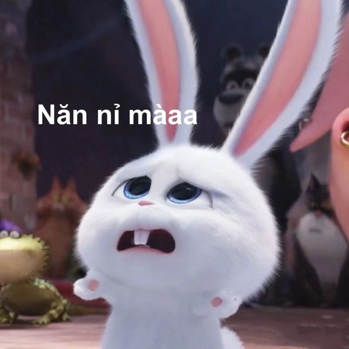 Avatar thỏ Snowball meme hài hước
