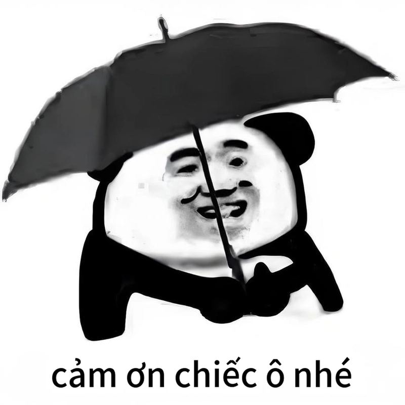 Bộ ảnh gấu trúc đa tạ bá đạo