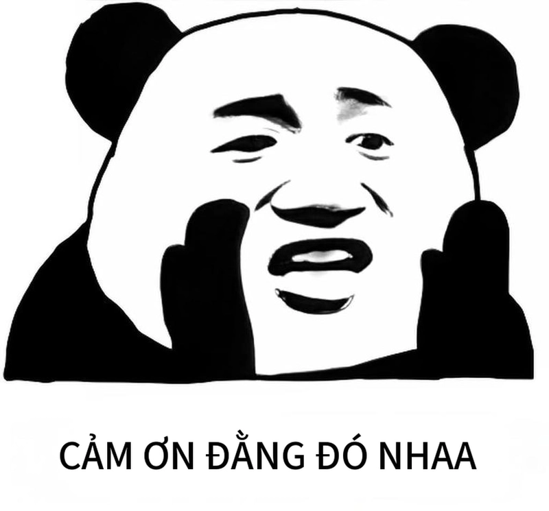 Bộ meme gấu trúc đa tạ dễ thương