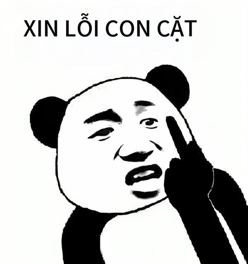 Bộ meme gấu trúc xin lỗi hài hước
