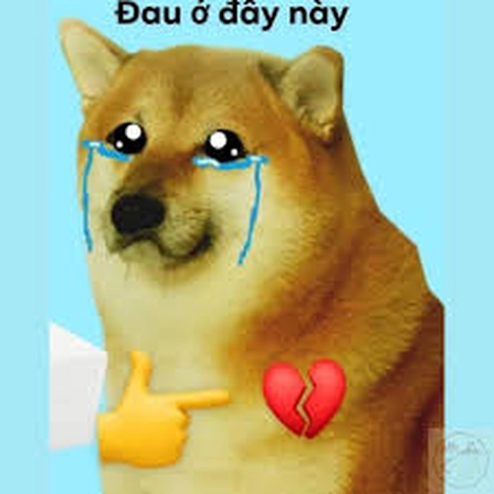Bộ sưu tập ảnh meme đau ở đây này