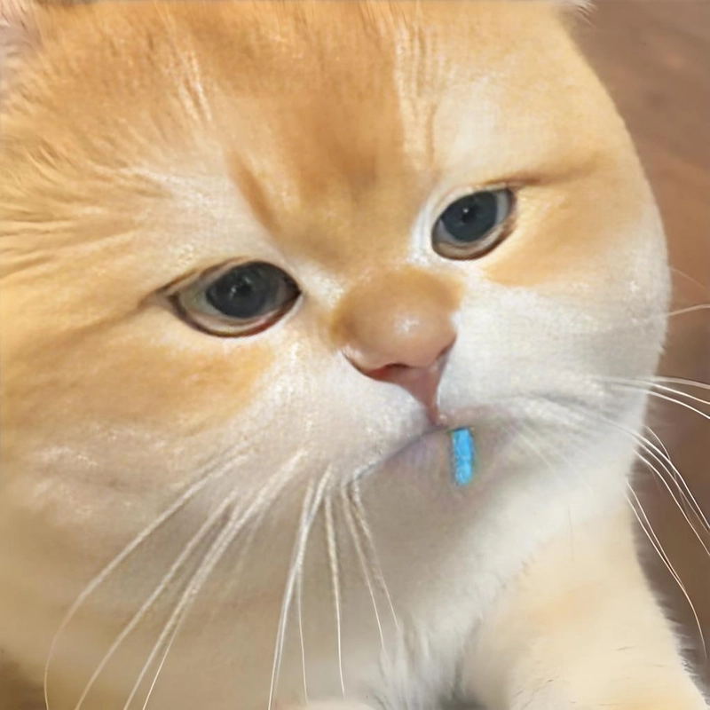 Bộ sưu tập hình ảnh meme đáng yêu