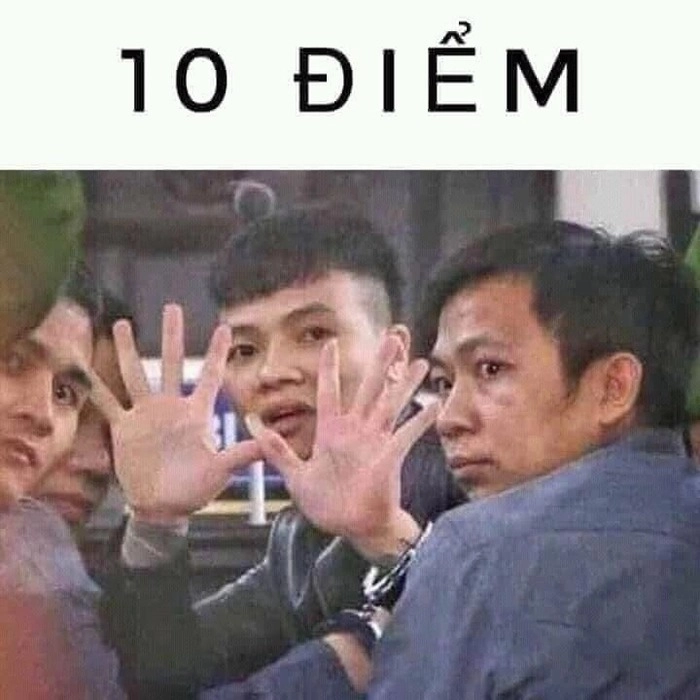 Bộ sưu tập meme 10 điểm hot trend
