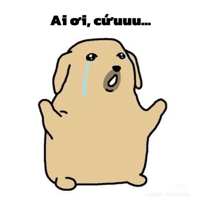 Bộ sưu tập meme chó nghèo bá đạo