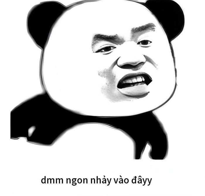 Bộ sưu tập meme chửi ngu siêu hot