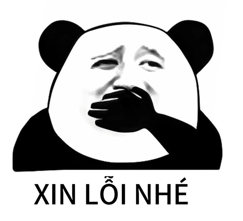 Bộ sưu tập meme gấu trúc xin lỗi