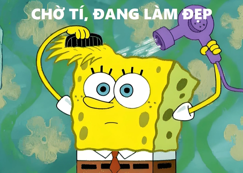 Bọt Biển hoạt hình meme vui nhộn