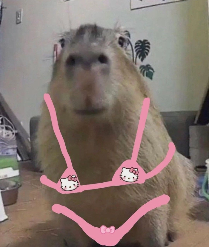 Capybara meme hét bá đạo