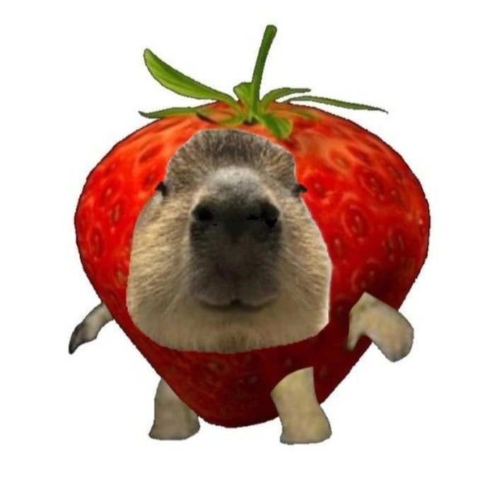 Capybara meme hét gây cười